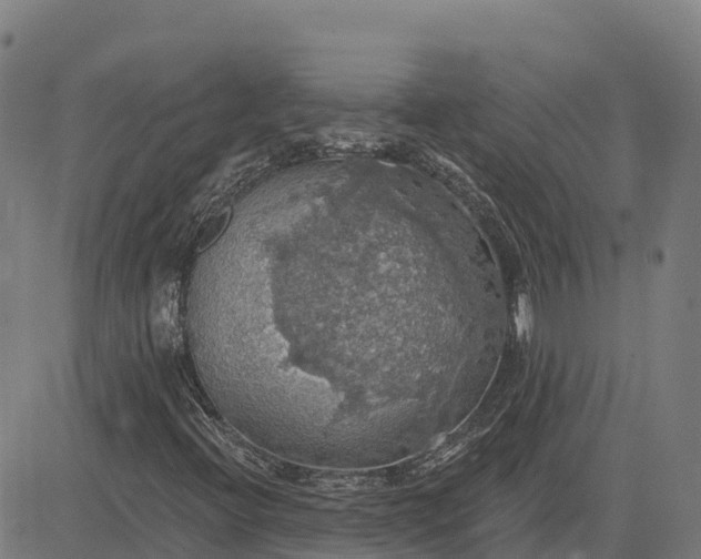 X0000084541396200703091642