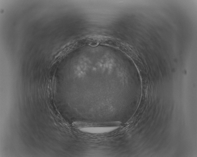 X0000084541397200703091642