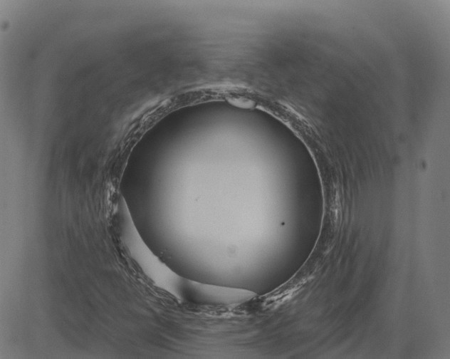 X0000084541398200703091642