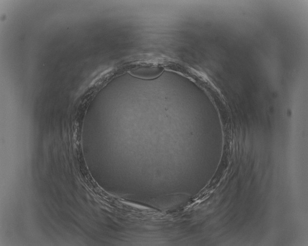 X0000084541399200703091642