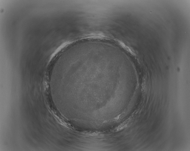 X0000084541400200703091642