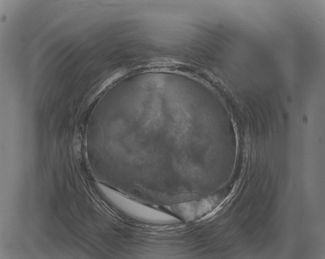 X0000084541401200703091642