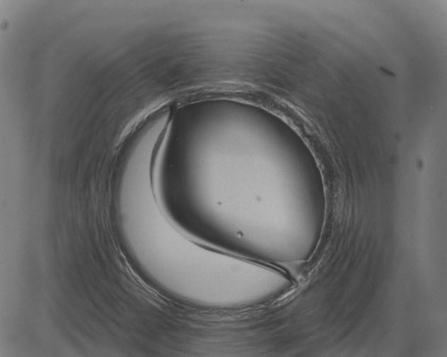 X0000084541402200703091642