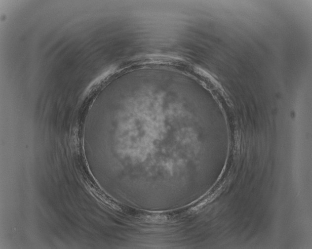 X0000084541403200703091642