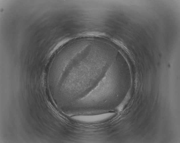 X0000084541404200703091642