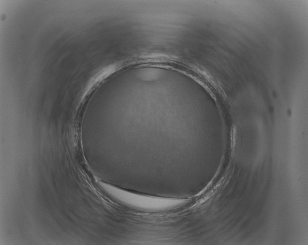 X0000084541405200703091642