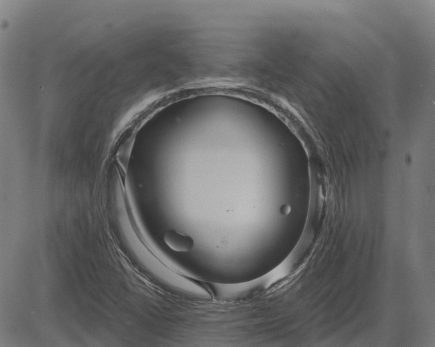 X0000084541406200703091642