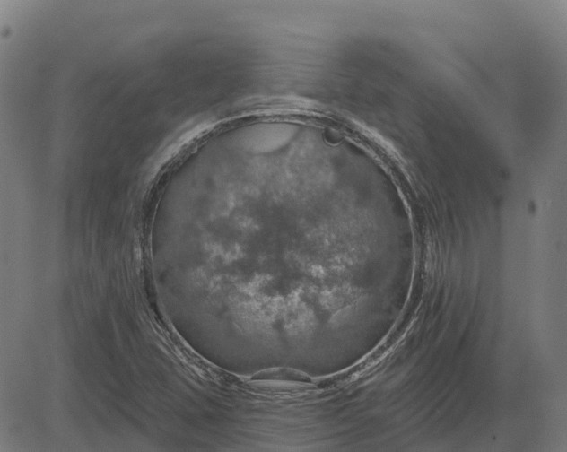 X0000084541407200703091642