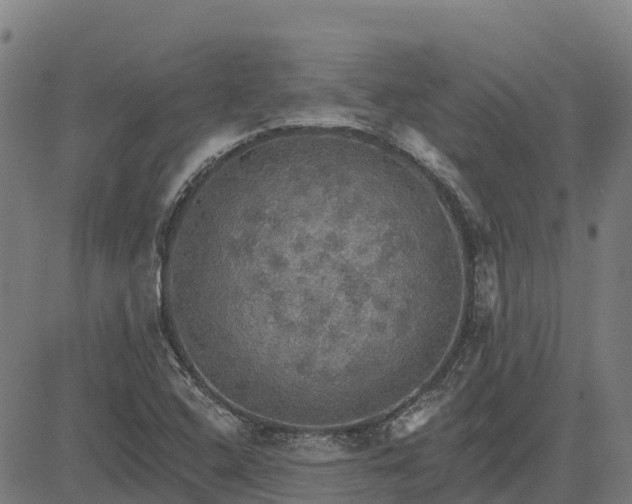 X0000084541408200703091642