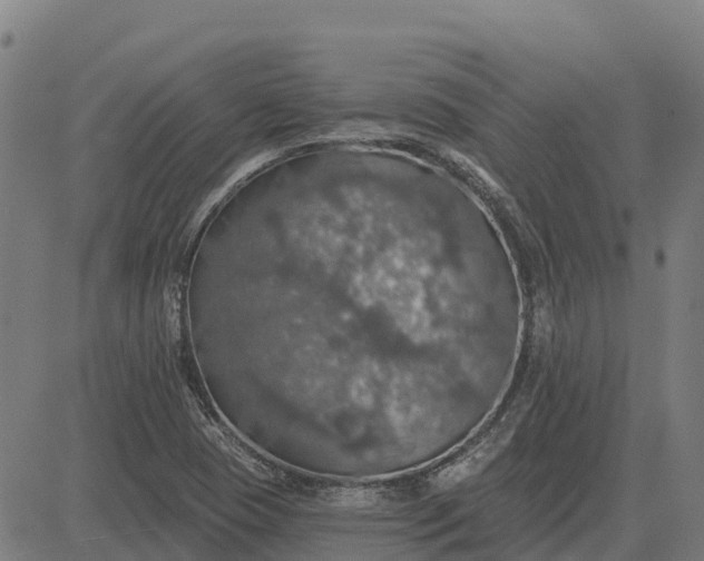 X0000084541409200703091642