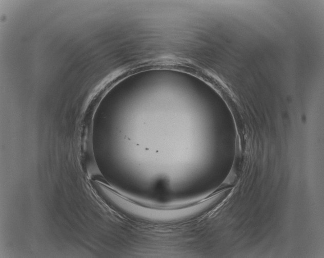 X0000084541410200703091642