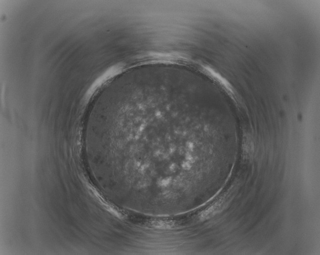 X0000084541411200703091642