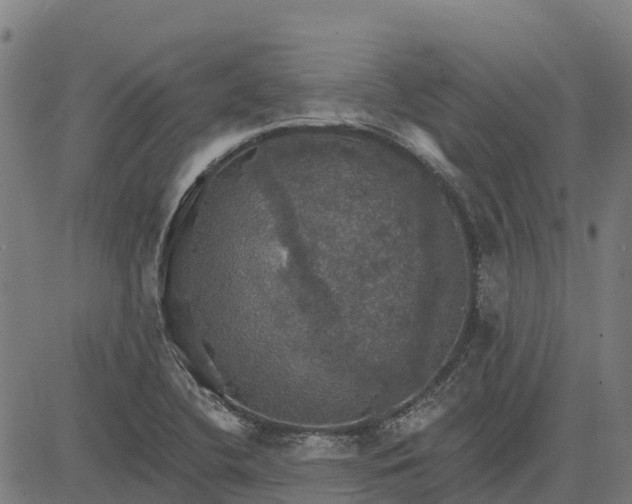 X0000084541412200703091642