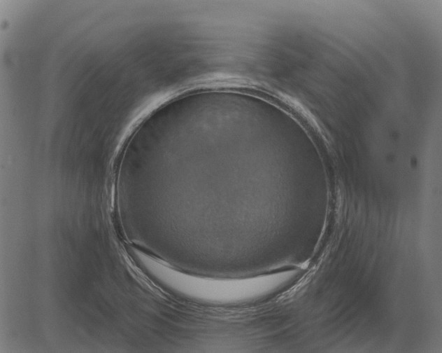 X0000084541413200703091642