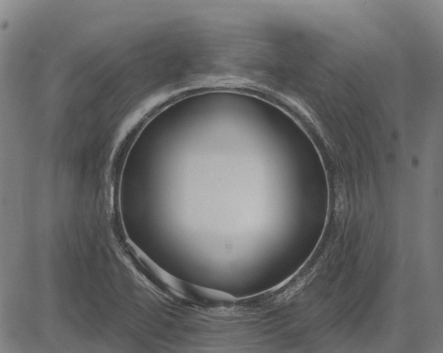 X0000084541414200703091642