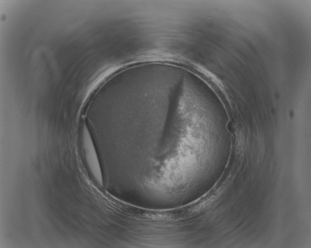 X0000084541415200703091642