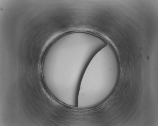 X0000084541416200703091642