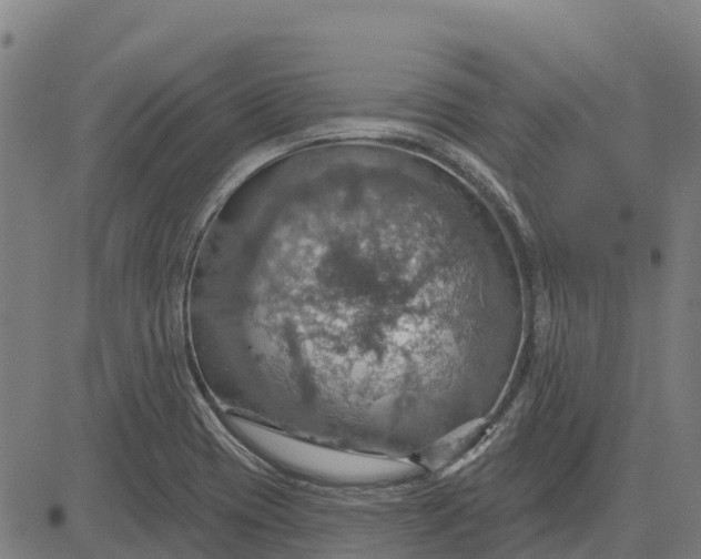 X0000084541417200703091642