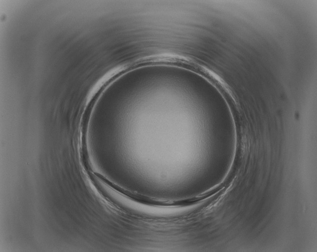 X0000084541418200703091642