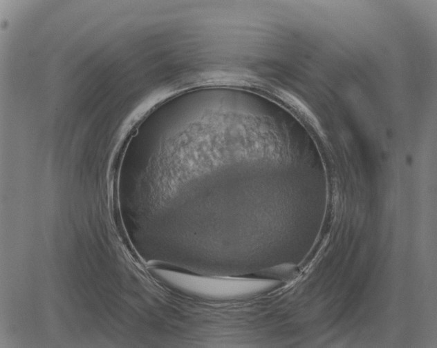 X0000084541419200703091642