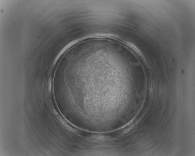 X0000084541420200703091642