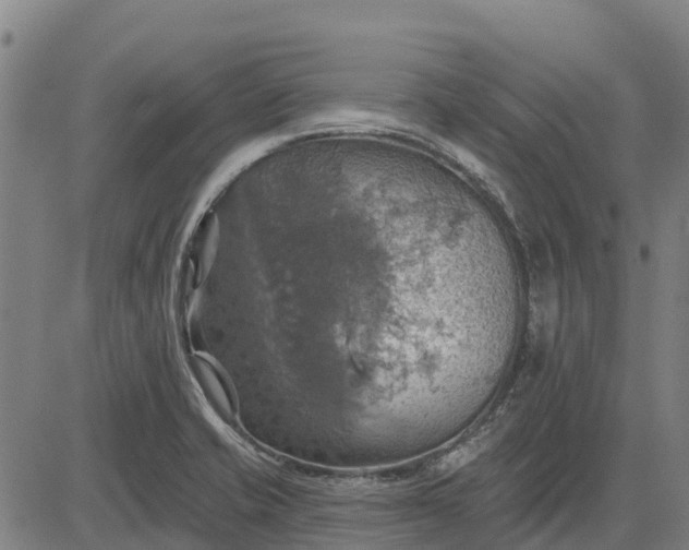 X0000084541421200703091642