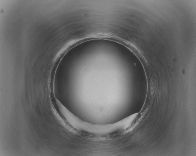 X0000084541422200703091642