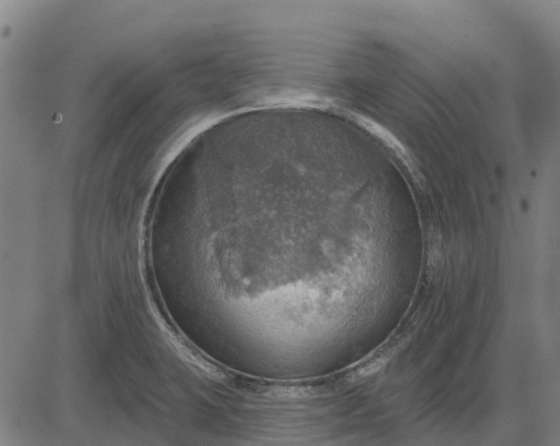 X0000084541423200703091642