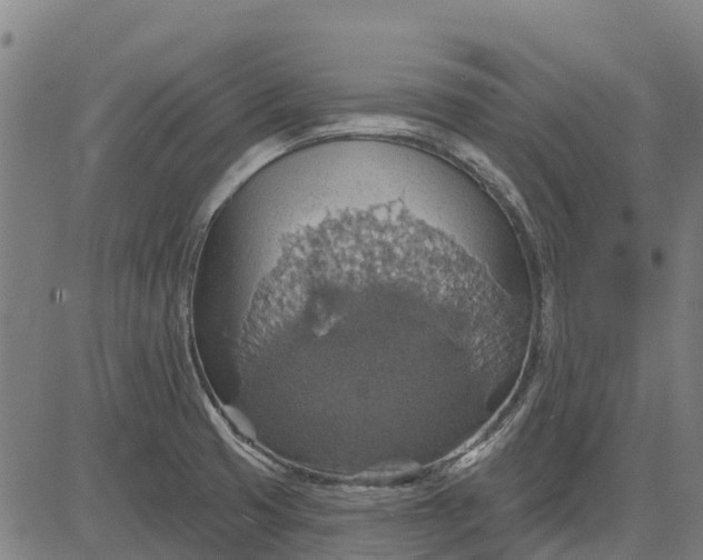 X0000084541425200703091642