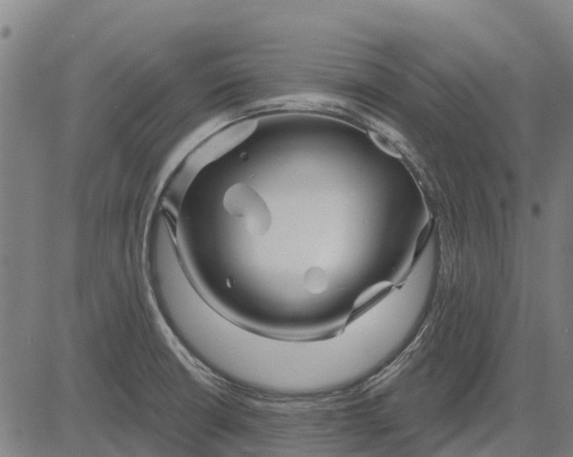 X0000084541426200703091642