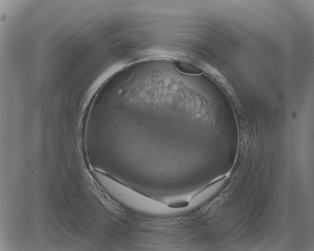 X0000084541427200703091642