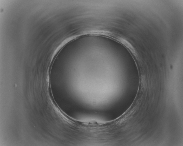 X0000084541428200703091642