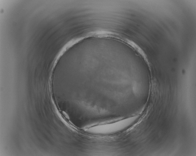 X0000084541429200703091642