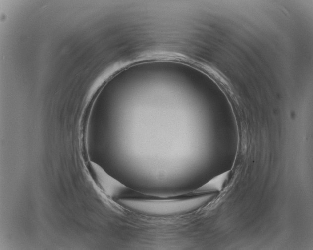 X0000084541430200703091642