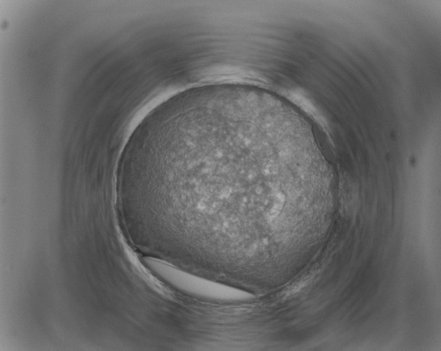 X0000084541431200703091642