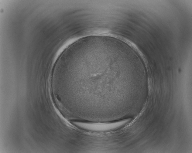 X0000084541432200703091642