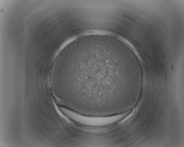 X0000084541433200703091642