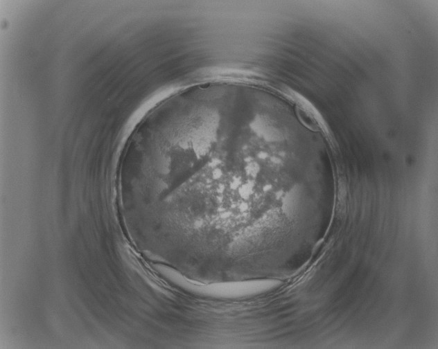 X0000084541435200703091642