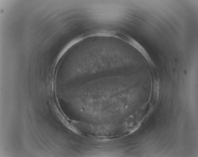 X0000084541436200703091642