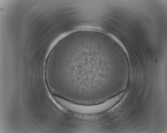 X0000084541437200703091642