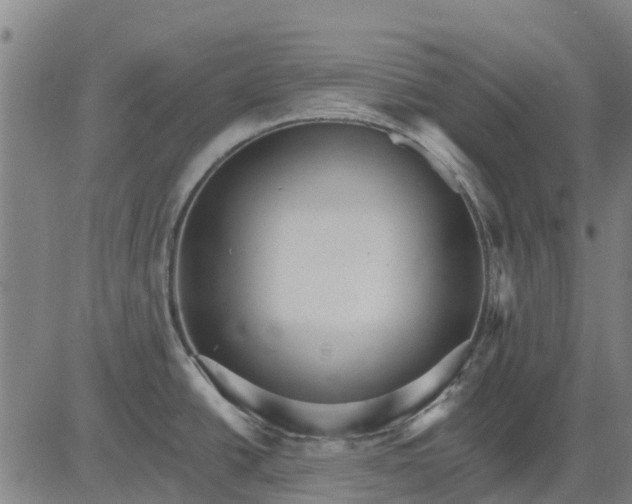 X0000084541438200703091642