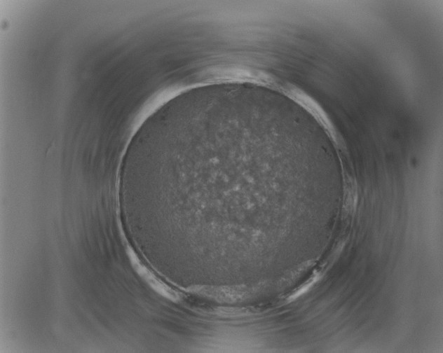 X0000084541439200703091642