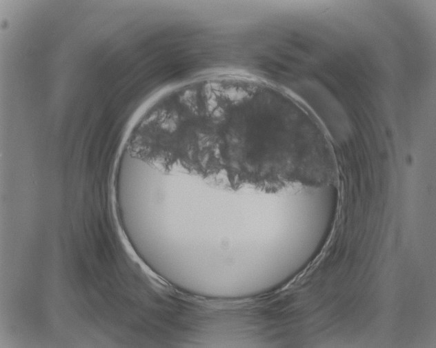 X0000084541440200703091642