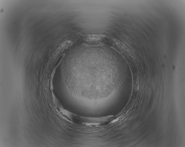 X0000084541441200703091641