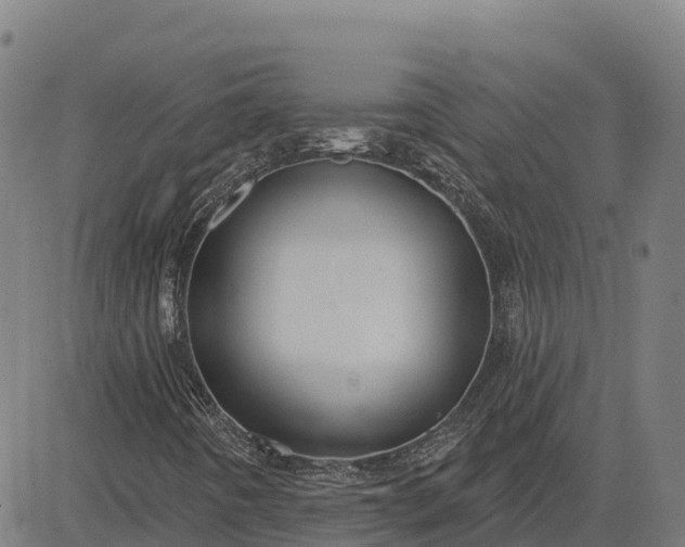 X0000084541442200703091641