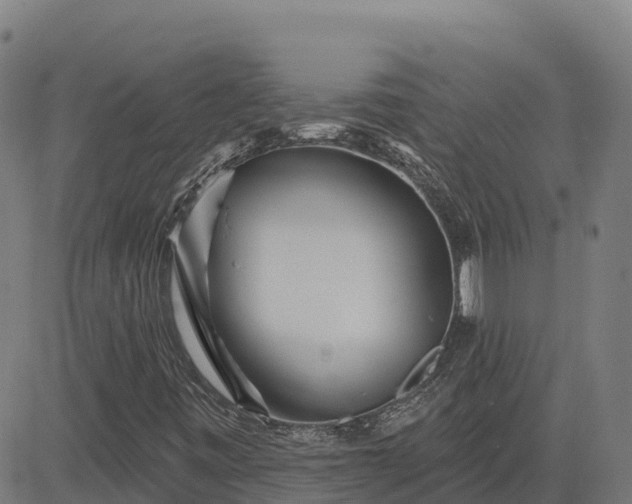 X0000084541443200703091641