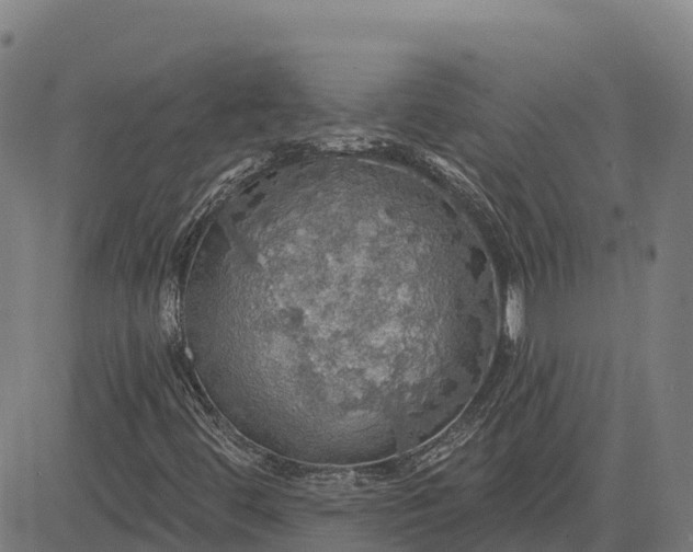 X0000084541444200703091641