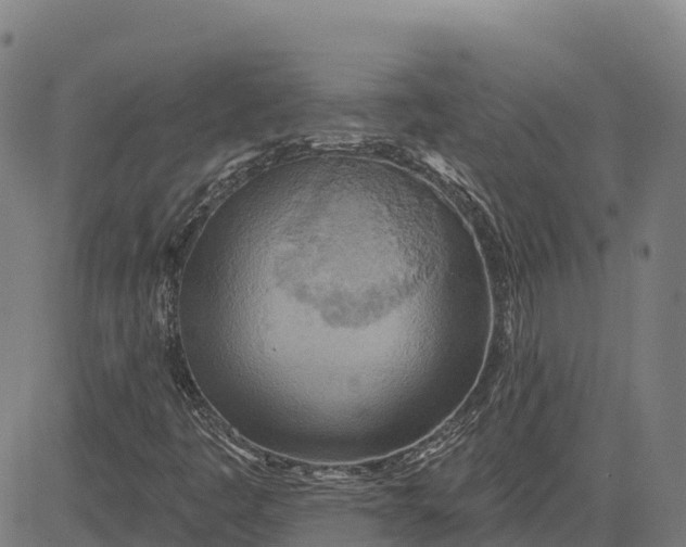 X0000084541445200703091641