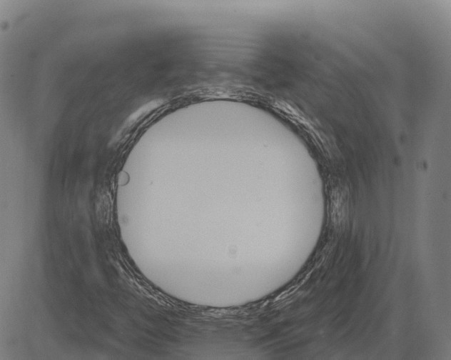 X0000084541446200703091641