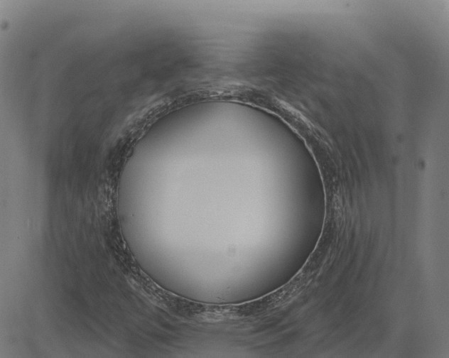 X0000084541447200703091641